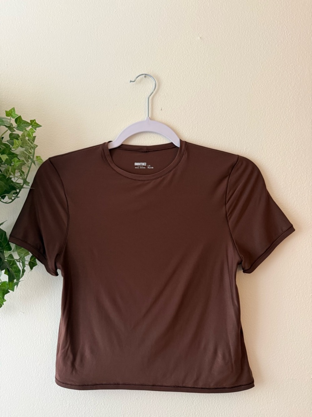 aerie Short Sleeve Tee in Brown